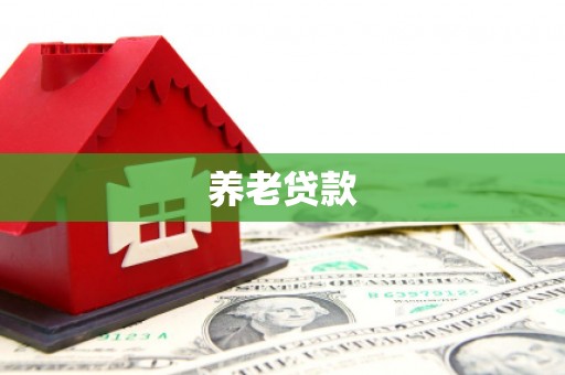 玛家养老贷款
