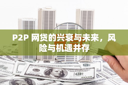 聂拉木P2P 网贷的兴衰与未来，风险与机遇并存