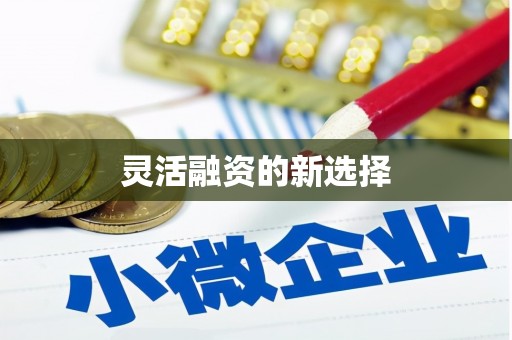 自贡灵活融资的新选择
