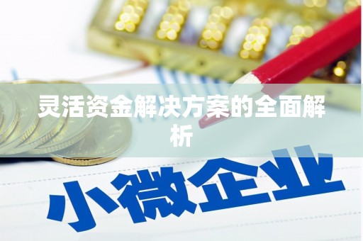 蔡甸灵活资金解决方案的全面解析