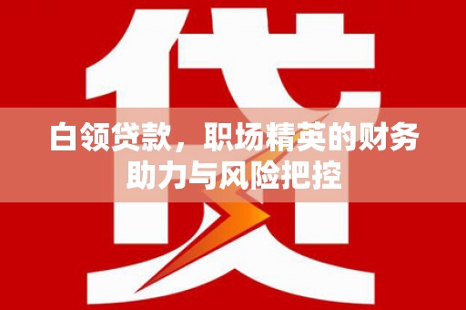 保亭白领贷款,职场精英的财务助力与风险把控 保亭白领贷款,职场精英的财务助力与风险把控